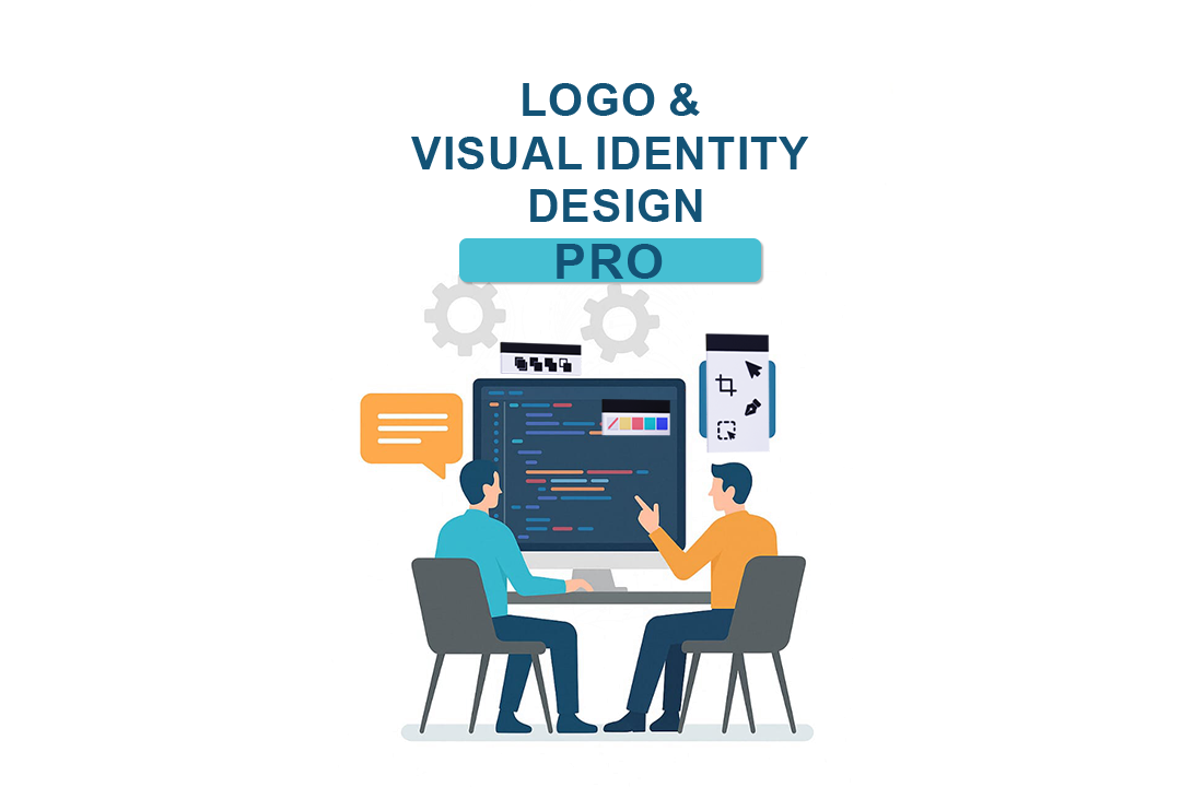 Logo & Visual Identity Design Pro